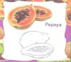 Picture of 2-IN-1 PUZZLES AND PICTURE BOOK - FRUITS & VEGETABLES